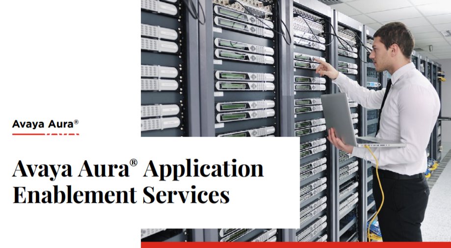 Avaya Aura® Application Enablement Services (AES)